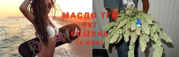 крисы Верхний Тагил