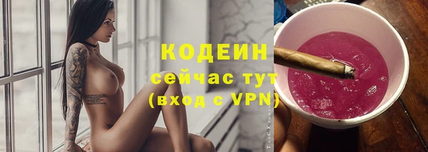 крисы Верхний Тагил