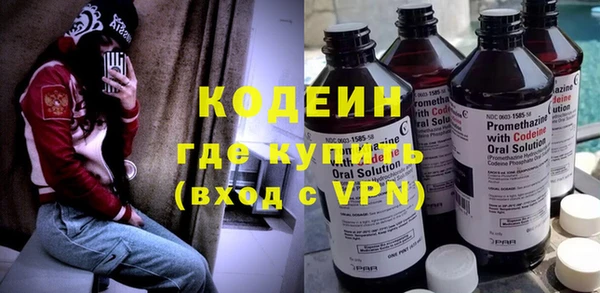 крисы Верхний Тагил