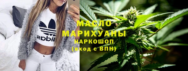 крисы Верхний Тагил