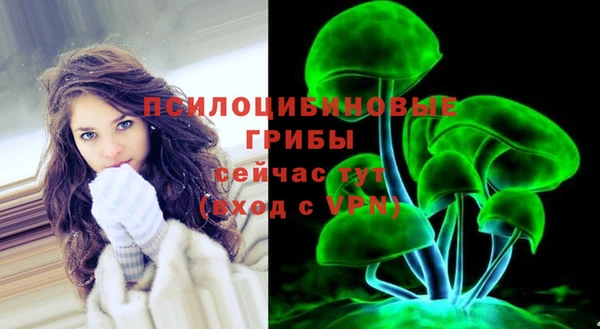 стафф Верея