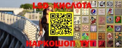 крисы Гатчина