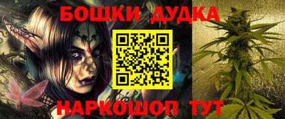 крисы Гатчина