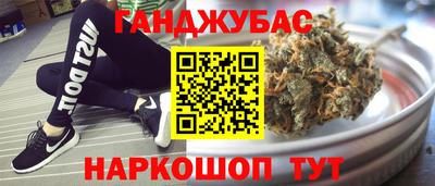 крисы Гатчина