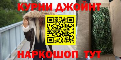 крисы Гатчина