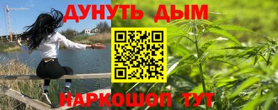 крисы Гатчина