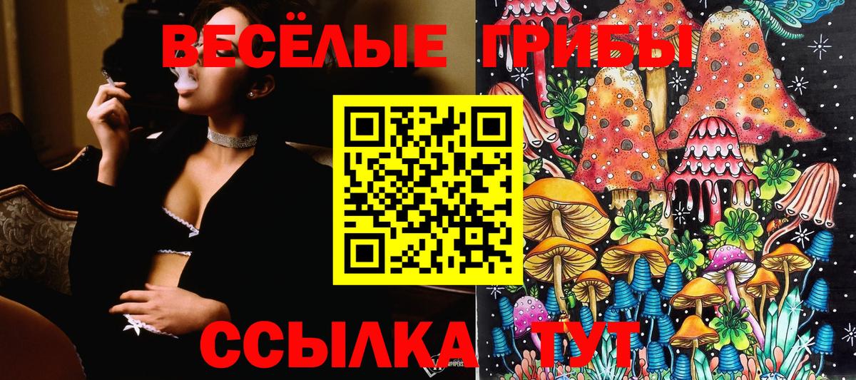 Псилоцибиновые грибы GOLDEN TEACHER  Галлюциногенные грибы Psilocybe  Вход с VPN  Дмитров 